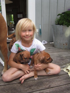 Ella & valparna 