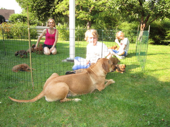 Anna, Carl & Eric med valparna 7 Juli