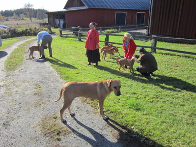 Tord, Anna, Barbara & Genady