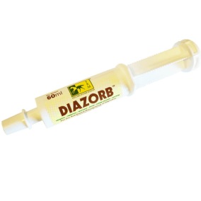 Diazorb 60 ml - Pasta för mage och tarm