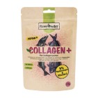 Collagen Plus 175g Rawpowder
