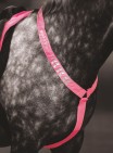 EQUI-FLECTOR® Reflexbrösta - Rosa ponny/cob