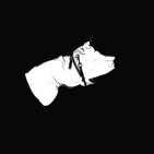 Reflextäcke Enzo light - Dogman
