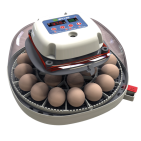 Äggkläckare Willab - med inbyggd ägglampa