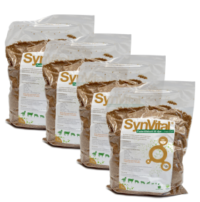 SynVITAL Pre- och probiotiskt fodertillskott 8 kg