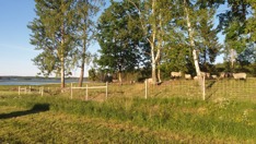 Bild 4. Efter restaurering Bild 4. Efter restaurering