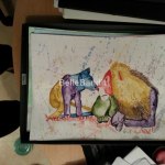 IMG_20130108_165950