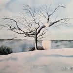 Vinter Järnavik -tillgänglig