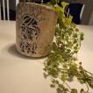 Urnes-kruka 