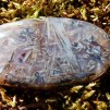 Turkisk Agat oval slipad sten  40x21mm