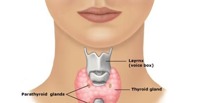 Comprehensive Thyroid Profile