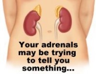 Adrenal stress