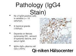 Pathology IgG4