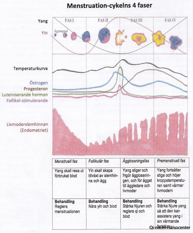 Basaltemperatur | Qi niken HÄLSOCENTER Basaltemperatur | Qi niken HÄLSOCENTER