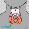 Komplett jod, Sköldkörtel med element & binjurestress - Complete Iodine Thyroid w/ elements & Adrenal stress