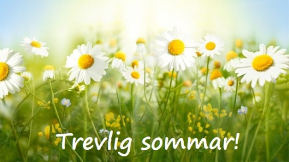 TREVLIG SOMMAR! TREVLIG SOMMAR!