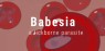 Babesia IgG-antikroppar