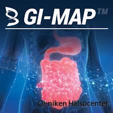 GI-map