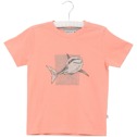 Wheat T-shirt Shark - Wheat T-shirt Shark ( Storlek 6 år 9