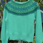 Svanen Grön jumper