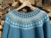 "Blå Skimmer med mörkare blå bottenfärg" jumper. Foto P. Silfverberg "Blå Skimmer med mörkare blå bottenfärg" jumper. Foto P. Silfverberg