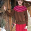 Svanen Röd pullover Bohus Stickning