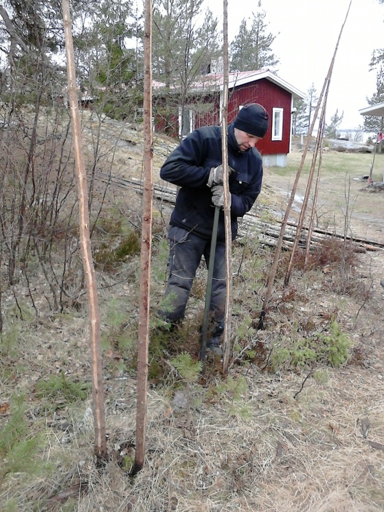 Ola spättar nya hål för nya störar. Sen återanvände vi de gamla slanorna eftersom de var i gott skick. Ola spättar nya hål för nya störar. Sen återanvände vi de gamla slanorna eftersom de var i gott skick.