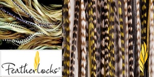 Feather extensions Feather extensions