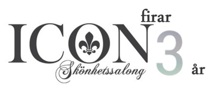 salongicon salongicon