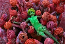 INDIA-10005NF4 INDIA-10005NF4