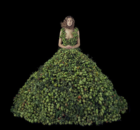 Nathalia Edenmont_Late Bloomer_2016 Nathalia Edenmont_Late Bloomer_2016