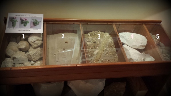 Olika markförhållanden druvorna växer i ...1.Fossil kalksten,2.Sand, 3.Lera/limestone,4.Krita,5.Sten