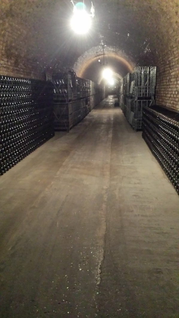 Deutz Champagnekällare har sammanlagt 160meter långa gångar, och lagras i 12grader. En jämn temperatur är ett måste för Champagne.