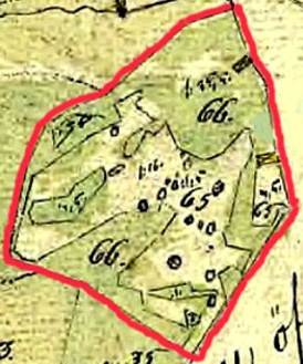 Kartan visar en detaljerad inritning av torpet Qvarntorps husbyggnad samt övrig mark noggrant beskriven - se C. 25 Kvarntorp - platsen för väderkvarn just ovan siffran 65!