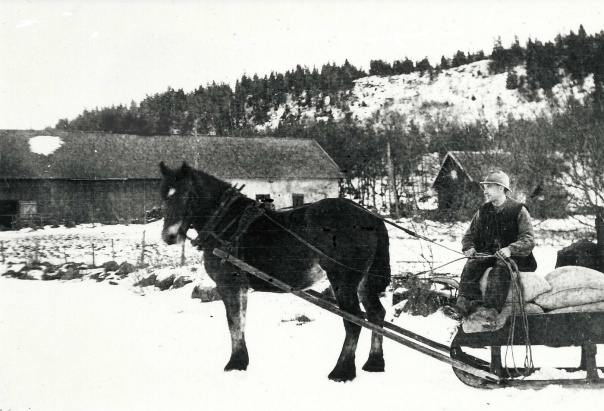 Nils Ljungström, dräng på Redsvenstorp på väg till Hålltorps kvarn 1925. Insatt av Kent Friman, 2014-02-26. Bild från Skarke-Varnhems Hembygdsförenings arkiv.