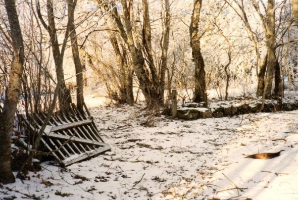 Foto Gunborg Ferm, från hennes samling, Ljungstorp 2014.