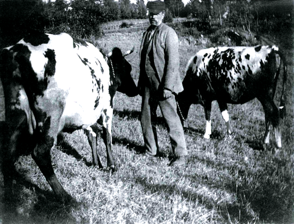 Gustaf Gustafsson på Hökatorp 1920