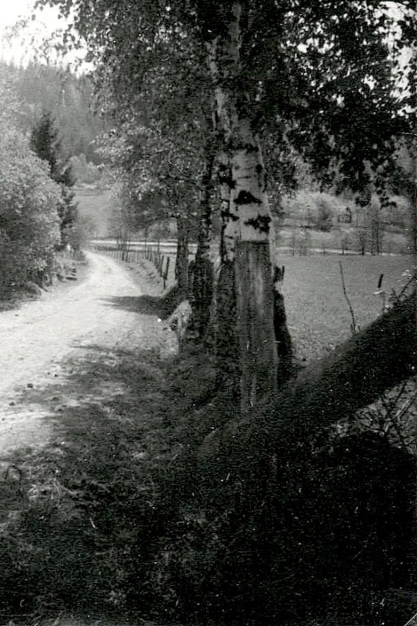 Foto Nils Lann. Bild från Kerstin Lidberg, född Lann, Ljungstorp, 2014.
