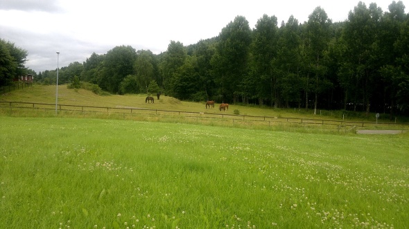 Bild tagen av Kent Friman, 2013-07-13, copyright