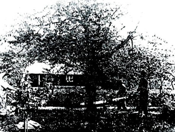 Fotokopia från Gunborg Ferms samling, Ljungstorp, 2014.