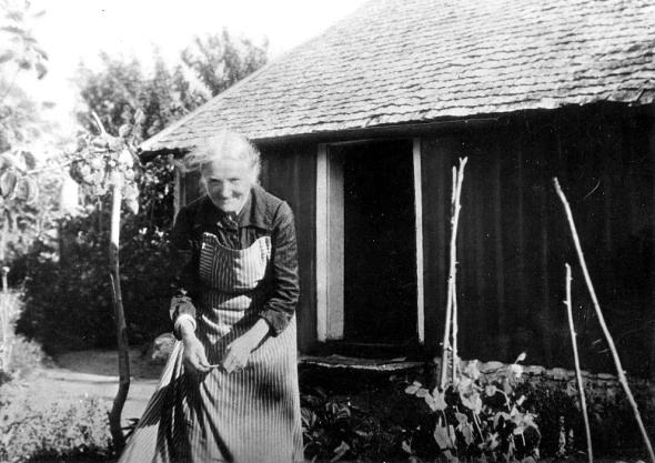 Foto ur Gunborg Ferms samling, Ljungstorp 2014. Fotot är från början ett kolorerat foto, redigerat av Kent Friman, 2014. Foto ur Gunborg Ferms samling, Ljungstorp 2014. Fotot är från början ett kolorerat foto, redigerat av Kent Friman, 2014.
