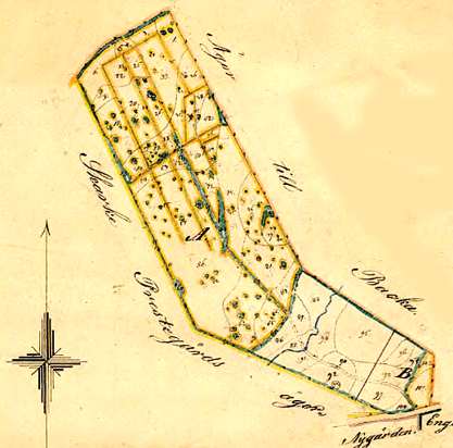 Karta från 1867 över Dunagårdens mark vid Backa.
