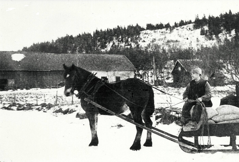 C. 14 (1) Nils Ljungström, dräng på Redsvenstorp på väg till Hålltorps kvarn 1925. Insatt av Kent Friman, 2014-02-26. Läs mer på www.ljungstorpshistoria.se!