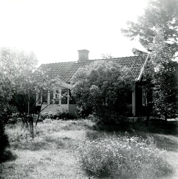 Bild från Gunborg Ferms samlingar, Ljungstorp, 2014