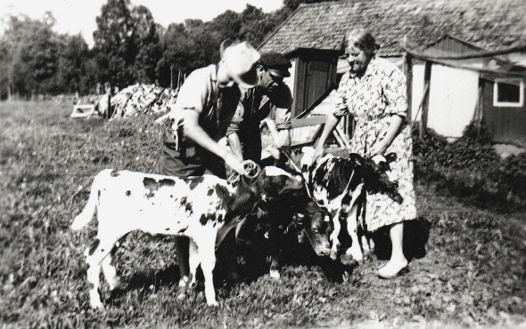 Familjen Sjögren Rödjan 1956 - foto från Verna Anderssons samlingar
