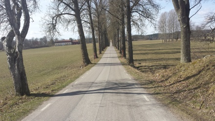 Vägen Framåt Vägen Framåt