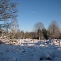 IMG_7963