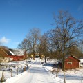 IMG_9171