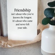 Friendship - tavla