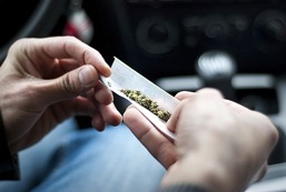 marijuan marijuan